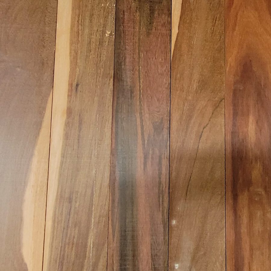 WhatsApp Image 2025-11-14 at 16.19.30